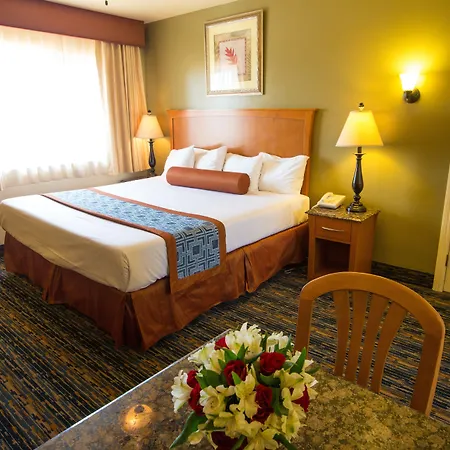 Beachwalker Inn & Suites-2