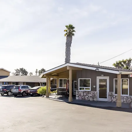 Ocean Palms Motel-3